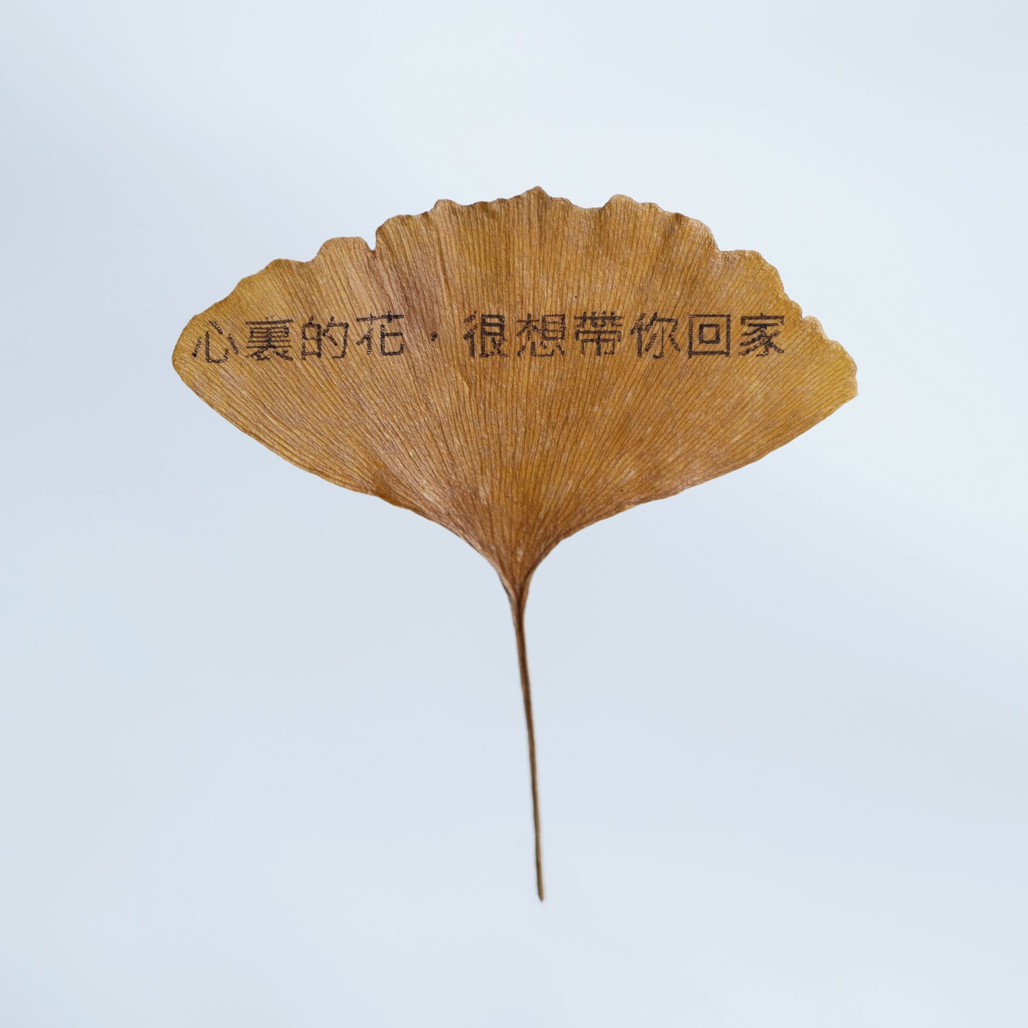 情話葉